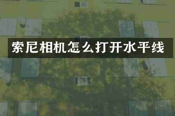 索尼相机怎么打开水平线