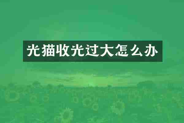 光猫收光过大怎么办