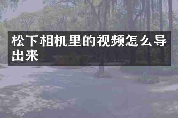 松下相机里的视频怎么导出来