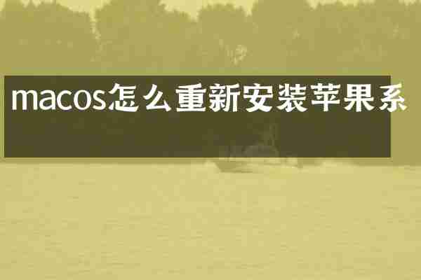 macos怎么重新安装苹果系统