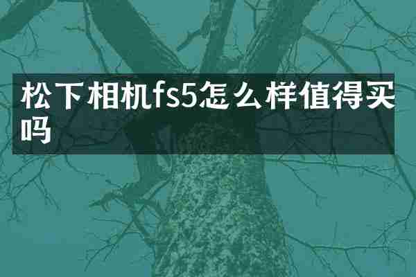 相机fs5怎么样值得买吗