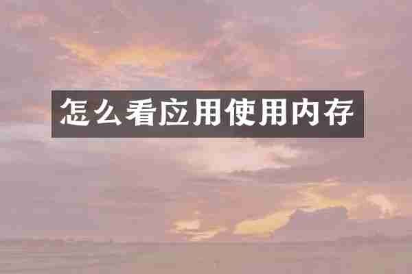 怎么看应用使用内存