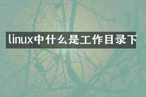 linux中什么是工作目录下
