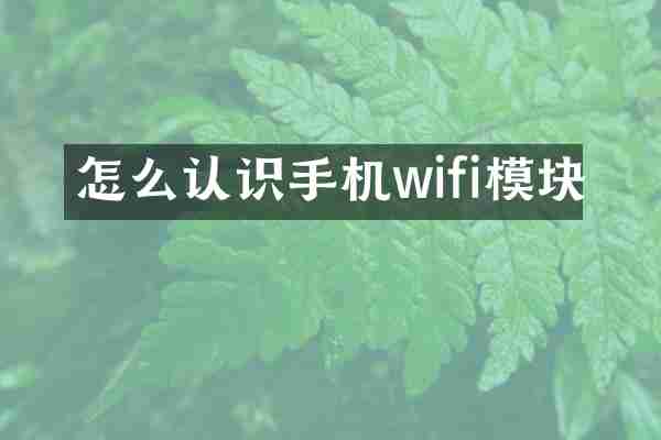 怎么认识手机wifi模块