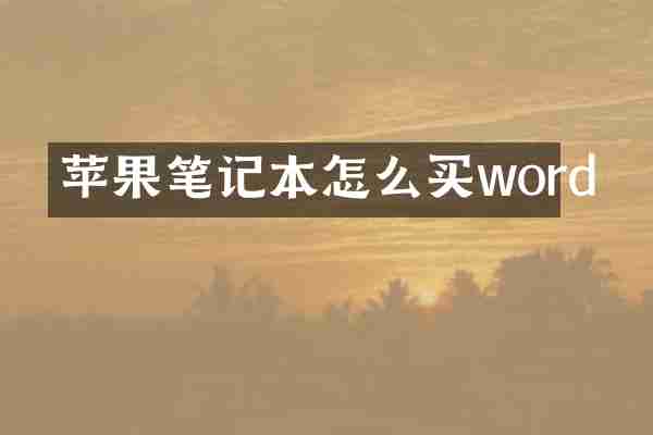 苹果笔记本怎么买word