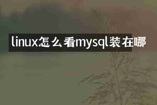 linux怎么看mysql装在哪
