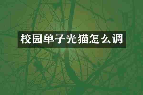 校园单子光猫怎么调