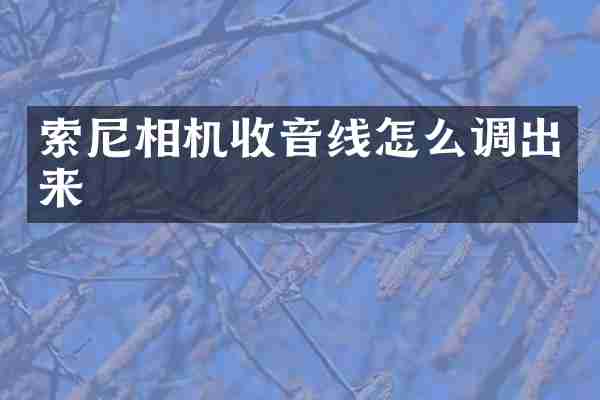相机收音线怎么调出来