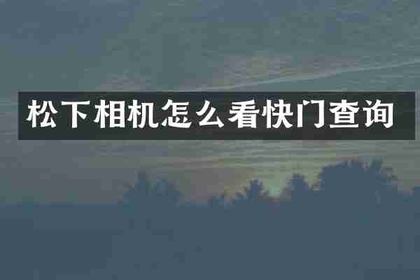 相机怎么看快门查询