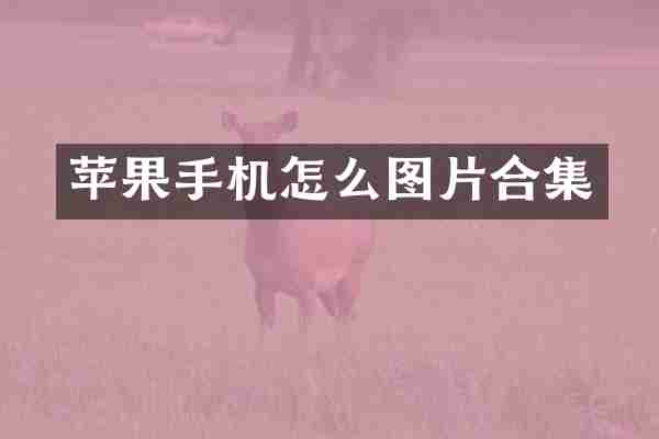 苹果手机怎么图片