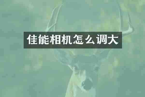 佳能相机怎么调大