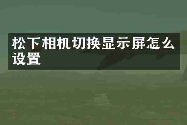 相机切换显示屏怎么设置