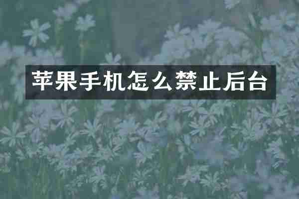 苹果手机怎么禁止后台