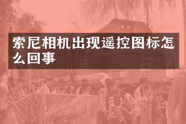 相机出现遥控图标怎么回事