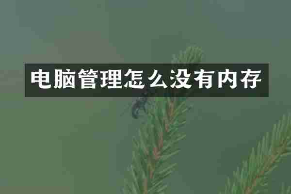 电脑管理怎么没有内存