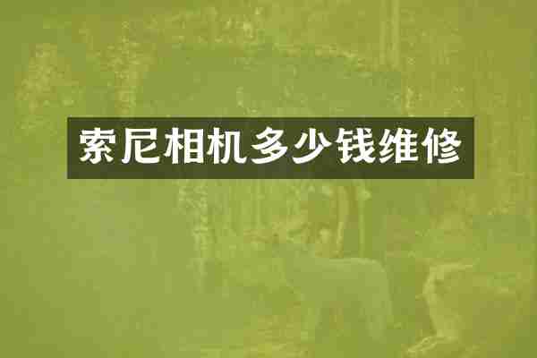 相机多少钱维修