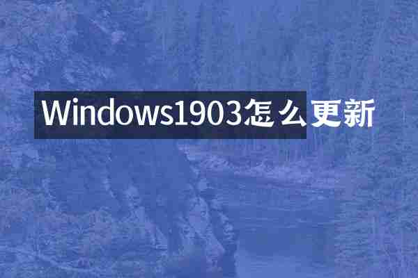 Windows1903怎么更新