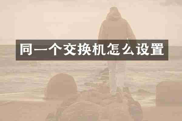 同一个交换机怎么设置