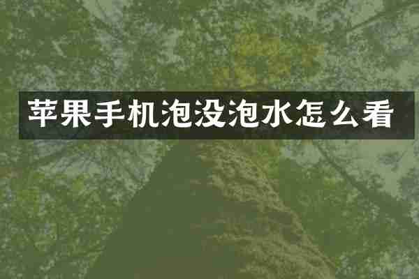 苹果手机泡没泡水怎么看