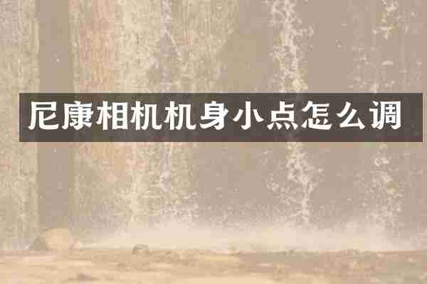 尼康相机机身小点怎么调