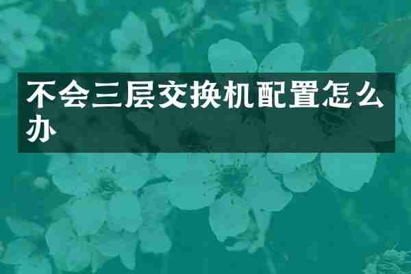 不会三层交换机配置怎么办