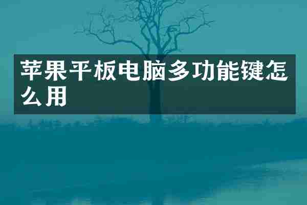 苹果平板电脑多功能键怎么用