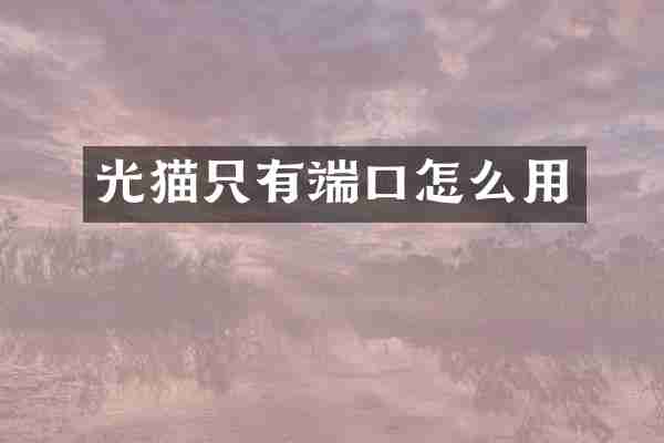 光猫只有端口怎么用
