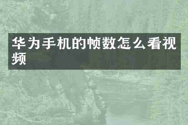 华为手机的帧数怎么看视频