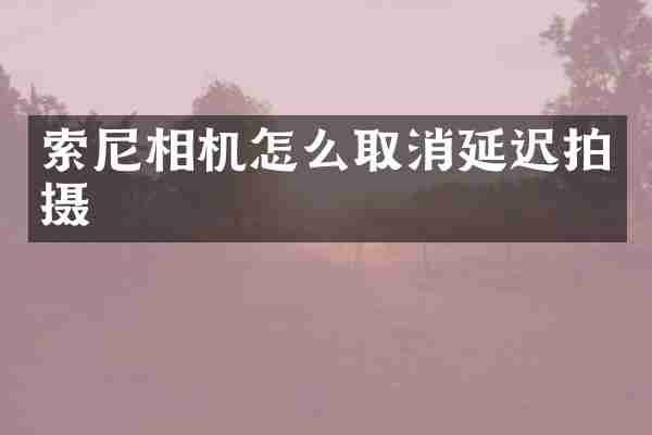 相机怎么取消延迟拍摄