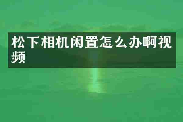 相机闲置怎么办啊视频