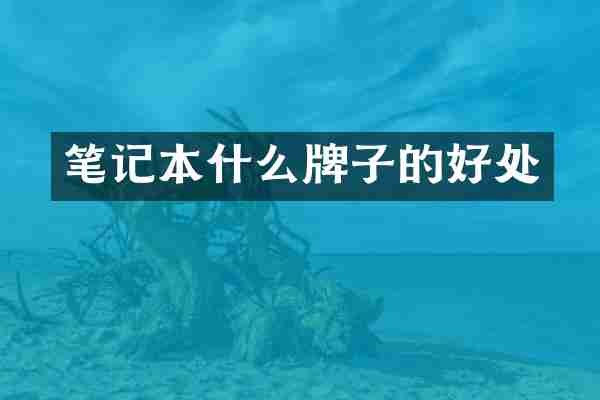 笔记本什么牌子的好处