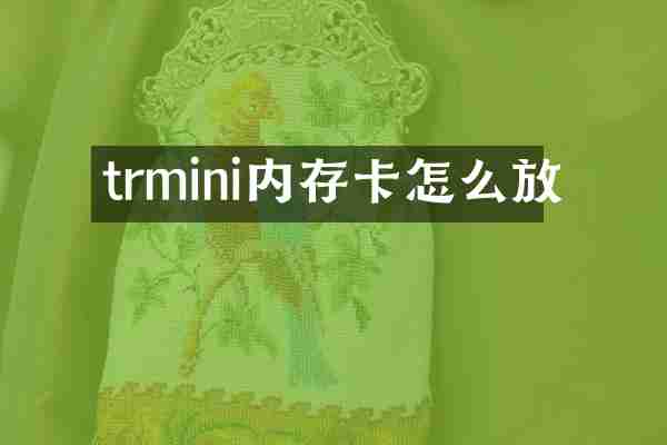 trmini内存卡怎么放