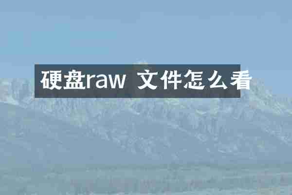 硬盘raw 文件怎么看