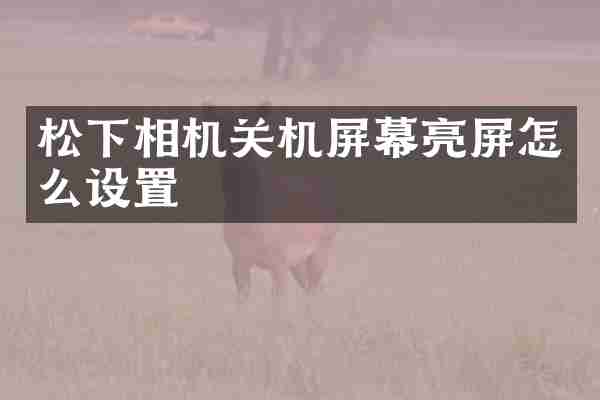 松下相机关机屏幕亮屏怎么设置