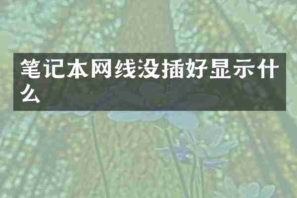 笔记本网线没插好显示什么