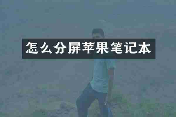 怎么分屏苹果笔记本