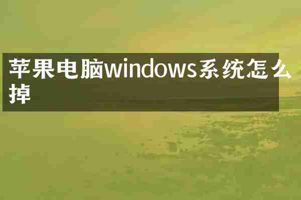 苹果电脑windows系统怎么抹掉