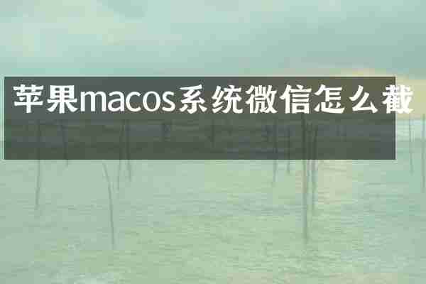 苹果macos系统微信怎么截图