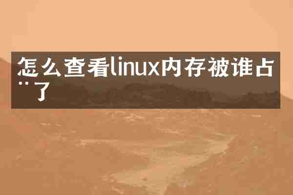 怎么查看linux内存被谁占用了
