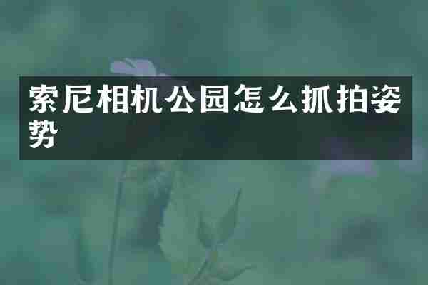 索尼相机公园怎么抓拍姿势