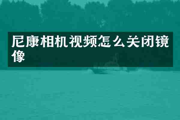 尼康相机视频怎么关闭镜像