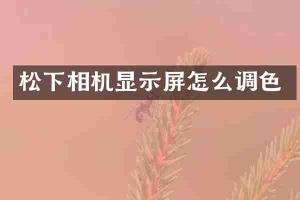 相机显示屏怎么调色