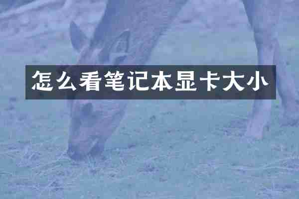 怎么看笔记本显卡大小