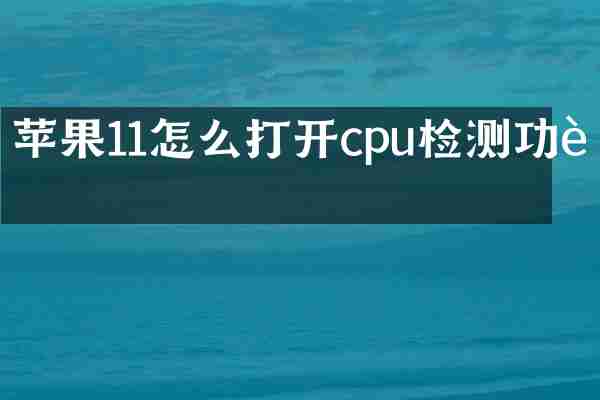 苹果11怎么打开cpu检测功能