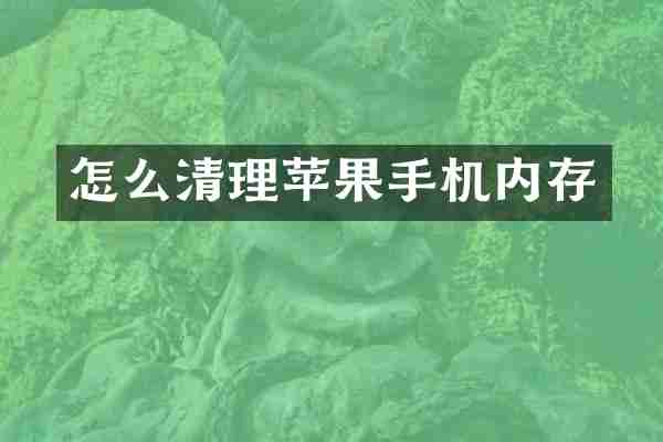 怎么清理苹果手机内存