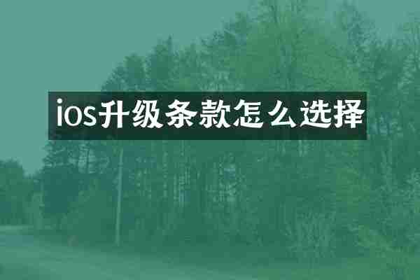 ios升级条款怎么选择