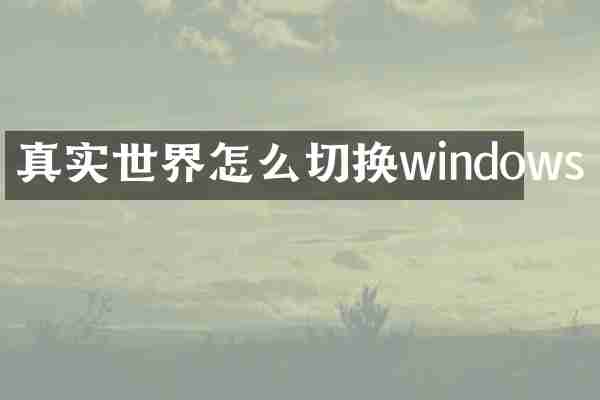 真实世界怎么切换windows