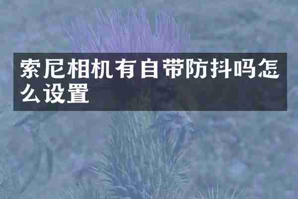 索尼相机有自带防抖吗怎么设置