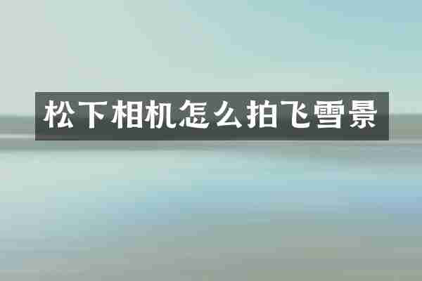 相机怎么拍飞雪景