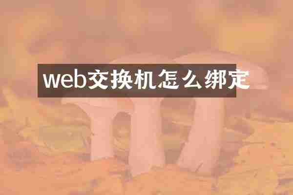 web交换机怎么绑定
